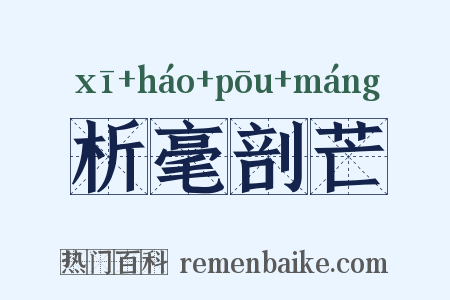 析毫剖芒是什么意思的图片